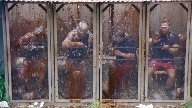 ACHTUNG-SPERRFRIST-FUeR-ALLE-MEDIEN-BIS-ZUM-SHOWENDE-MONTAG-02-FEBRUAR-2026-22-30-UHR-V-l-Simone-Ballack-Hubert-Fella-Hardy-Krueger-und-Patrick-Romer-in-der-Dschungelpruefung-Die-WEH-C-Promis-Die-Verwendung-des-sendungsbezogenen-Materials-ist-nur-mit-dem-Hinweis-und-Verlinkung-auf-RTL-gestattet