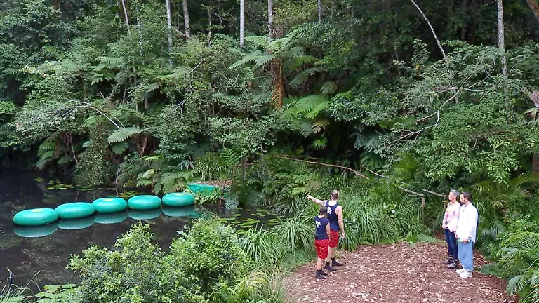 ACHTUNG-SPERRFRIST-FUeR-ALLE-MEDIEN-BIS-ZUM-SHOWENDE-DIENSTAG-03-FEBRUAR-2026-22-30-UHR-Sonja-Zietlow-und-Jan-Koeppen-bergruessen-Eva-Benetatou-und-Gil-Ofarim-zur-Dschungelpruefung-Schwierige-Fanggelegenheit-Die-Verwendung-des-sendungsbezogenen-Materials-ist-nur-mit-dem-Hinweis-und-Verlinkung-auf-RTL-gestattet