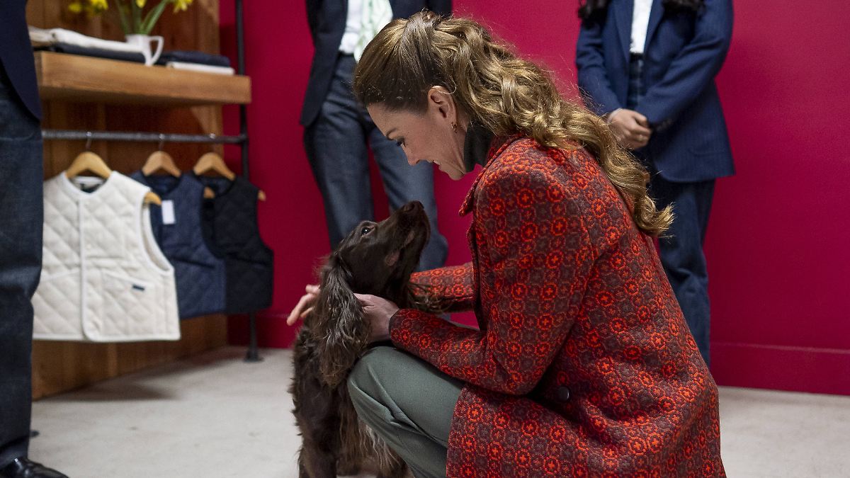 -Er-ist-erst-acht-Monate-alt-Prinzessin-Kate-spricht-ber-felligen-Familienzuwachs