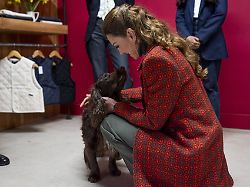 "Er ist erst acht Monate alt": Prinzessin Kate spricht über felligen Familienzuwachs