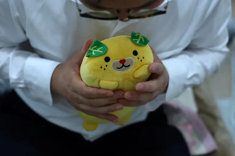 A-41-year-old-Japanese-man-who-ceremonially-married-the-two-dimensional-character-Kimera-Toyooka-in-2021-touches-a-stuffed-doll-at-his-home-in-Tokyo-Japan-September-4-2025-REUTERS-Kim-Kyung-Hoon-SEARCH-JAPAN-KYUNG-HOON-AI-WEDDING-FOR-THIS-STORY-SEARCH-WIDER-IMAGE-FOR-ALL-STORIES