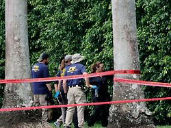 Bewaffneter lauerte im Gebüsch: Lebenslange Haft für versuchtes Trump-Attentat auf Golfplatz
