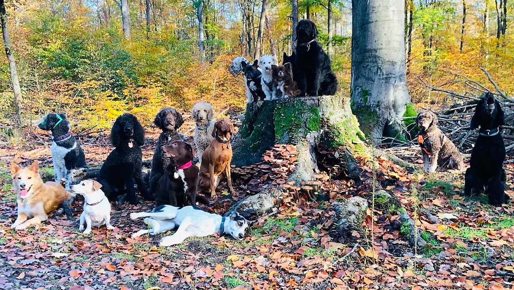 31ef577e-dc62-4459-b1a7-2a32d7781d18