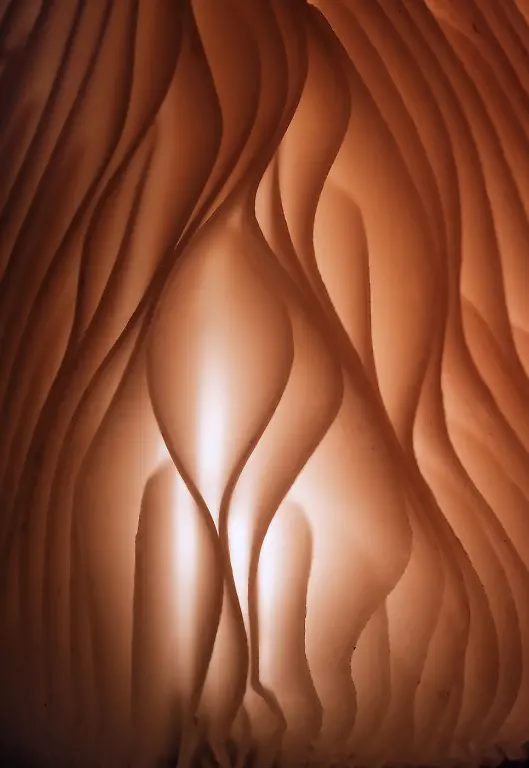 1st-Fungi-Mushroom in the 'Nude' Style-Valeria Zvereva-CUPOTY 7-WEB
