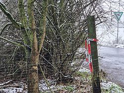 Leiche mit Stichverletzungen: Kind soll 14-jährigen Yosef in Dormagen getötet haben