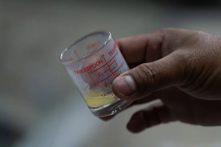 Cobra-Venom-extraction-in-Bangkok-BANGKOK-THAILAND-JULY-11-A-snake-handler-shows-venom-extracted-from-4-cobras-at-Queen-Saovbha-Memorial-Institute-in-Bangkok-Thailand-on-July-11-2023-Queen-Saovbha-Memorial-Institute-a-research-center-associated-with-the-Thai-Red-Cross-Society-was-established-in-1923-as-the-Bangkok-Snake-Farm-The-research-establishment-has-raised-venomous-snakes-for-venom-extraction-and-production-of-antivenom-medicine-supplied-primarily-to-farmers-hospitals-and-people-living-in-Thailand-and-surrounding-countries-in-the-region-where-venomous-snakes-are-endemic-The-institute-also-serves-as-a-museum-to-inform-the-general-public-about-snakes-in-Thailand-Banghok-Thailand-Editorial-use-only