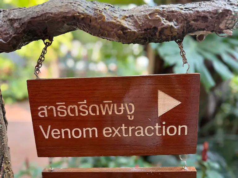 Ein-Schild-weist-auf-den-Eingang-zur-Snake-Farm-des-Queen-Saovabha-Memorial-Institute-QSMI-zu-sehen-In-der-Einrichtung-die-fuer-Besucher-aus-aller-Welt-offen-ist-wird-Antiserum-gewonnen-Das-Institut-gilt-als-eines-der-aeltesten-seiner-Art-weltweit