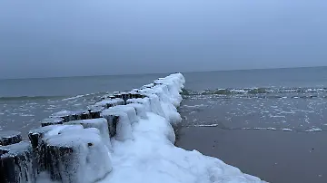 573753308 (1)