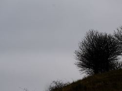 Niedersachsen & Bremen: Trüb-nebeliges Wochenende in Niedersachsen erwartet