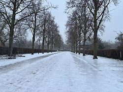 Berlin & Brandenburg: Behindertenverband: Teils "katastrophale" Glätte in Potsdam