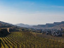 Baden-Württemberg: Schnell die Sonne genießen - wo sie lockt, wo sie bleibt