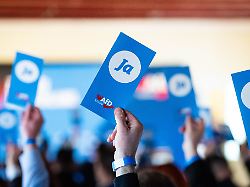 Berlin & Brandenburg: AfD-Jugend in Brandenburg gegründet