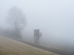 Baden-Württemberg: Trübes Wetter im Südwesten – Viele Wolken und Nebel