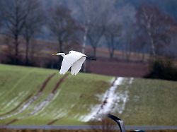 Wetterwoche im Schnellcheck: Zur Wochenmitte wird's etwas milder, dann wieder kälter