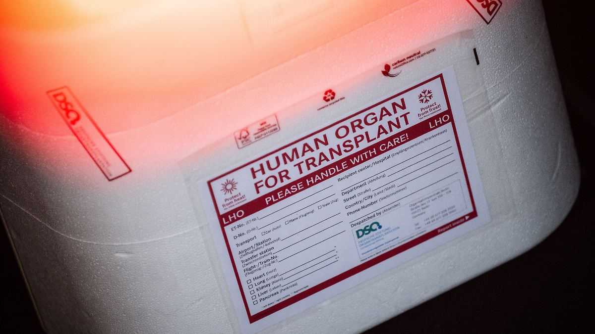 Trockeneis-statt-Eisw-rfel-Spenderherz-f-r-Zweij-hrigen-in-Italien-buchst-blich-erfroren-