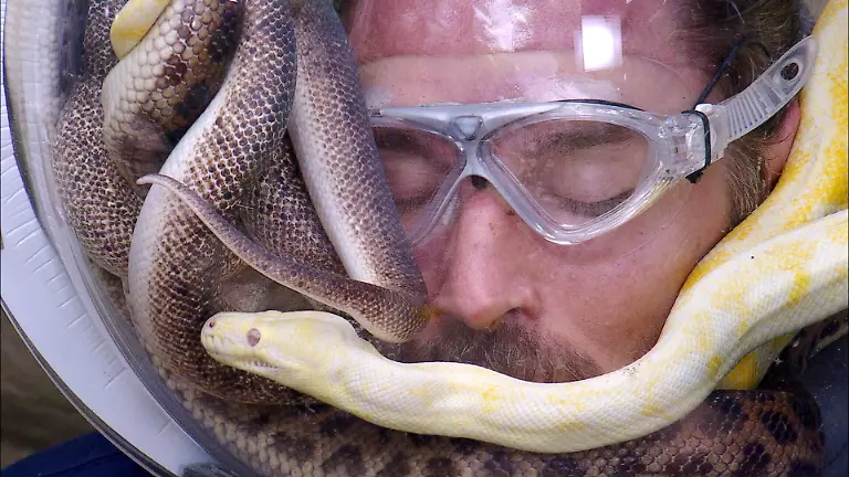 ACHTUNG-SPERRFRIST-FUeR-ALLE-MEDIEN-BIS-ZUM-SHOWENDE-SONNTAG-08-FEBRUAR-2026-23-15-UHR-Gil-Ofarim-in-seiner-Dschungelpruefung-Nicht-sehen-Die-Verwendung-des-sendungsbezogenen-Materials-ist-nur-mit-dem-Hinweis-und-Verlinkung-auf-RTL-gestattet