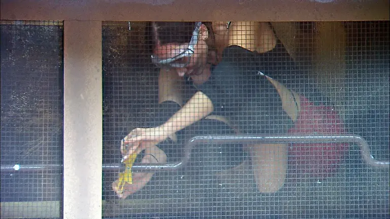 Dschungelpruefung-Nicht-hoeren-Samira-Yavuz-kaempft-fuer-die-Nachspeisen-Die-Verwendung-des-sendungsbezogenen-Materials-ist-nur-mit-dem-Hinweis-und-Verlinkung-auf-RTL-gestattet