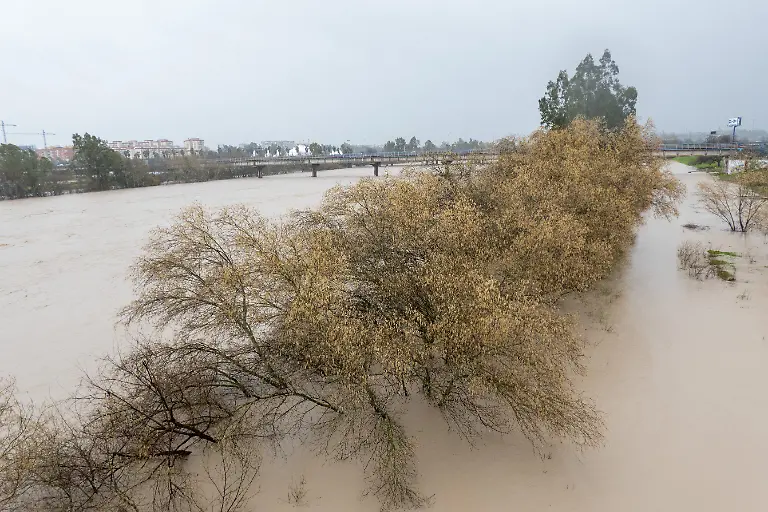 Der-Fluss-Guadalquivir-fuehrt-Hochwasser-in-der-Gegend-von-Cartuja-Nach-dem-Sturmtief-Leonardo-auch-in-Suedspanien-macht-sich-nun-das-Atlantiktief-Marta-vor-allem-in-Andalusien-bemerkbar