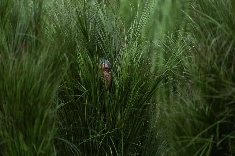 American-Football-Profiliga-NFL-Super-Bowl-LX-New-England-Patriots-Seattle-Seahawks-Das-Gesicht-einer-Taenzerin-ist-durch-Graeser-zu-sehen-als-Teil-des-Auftritts-von-Bad-Bunny