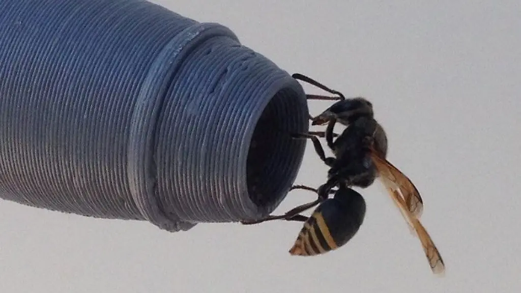 d2b0f0330894a1cc8aec575d28362ce5