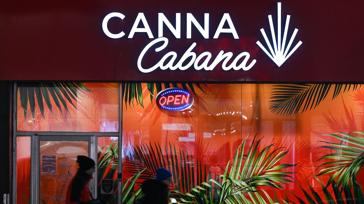 Forscher-vermuten-Zusammenhang-Deutlich-mehr-Psychosen-durch-Cannabis-