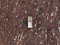 Bericht appelliert an Firmen: Artensterben ist eine der größten Bedrohungen für die Wirtschaft