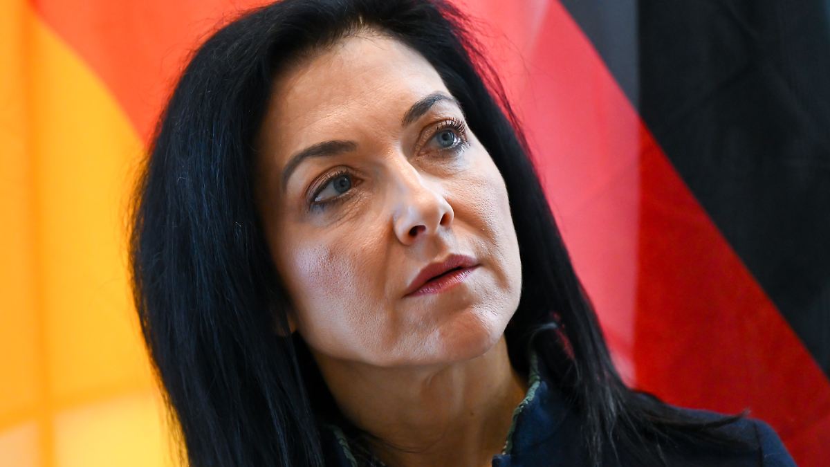 Bremse-f-r-Erneuerbare-Gr-ne-Reiche-will-die-Energiewende-killen-