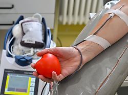 Niedersachsen & Bremen: Jede Spende zählt: Wie es um die Blutkonserven steht