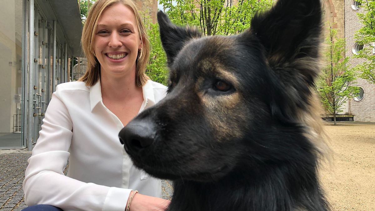 Streicheln statt Schweigen - Wie Hunde vor Gericht helfen