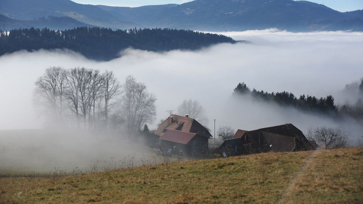 Besonders-in-den-Metropolen-Immobilien-d-rften-auch-2026-teurer-werden