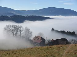 Besonders in den Metropolen: Immobilien dürften auch 2026 teurer werden