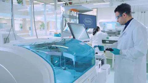 Roche FZ
