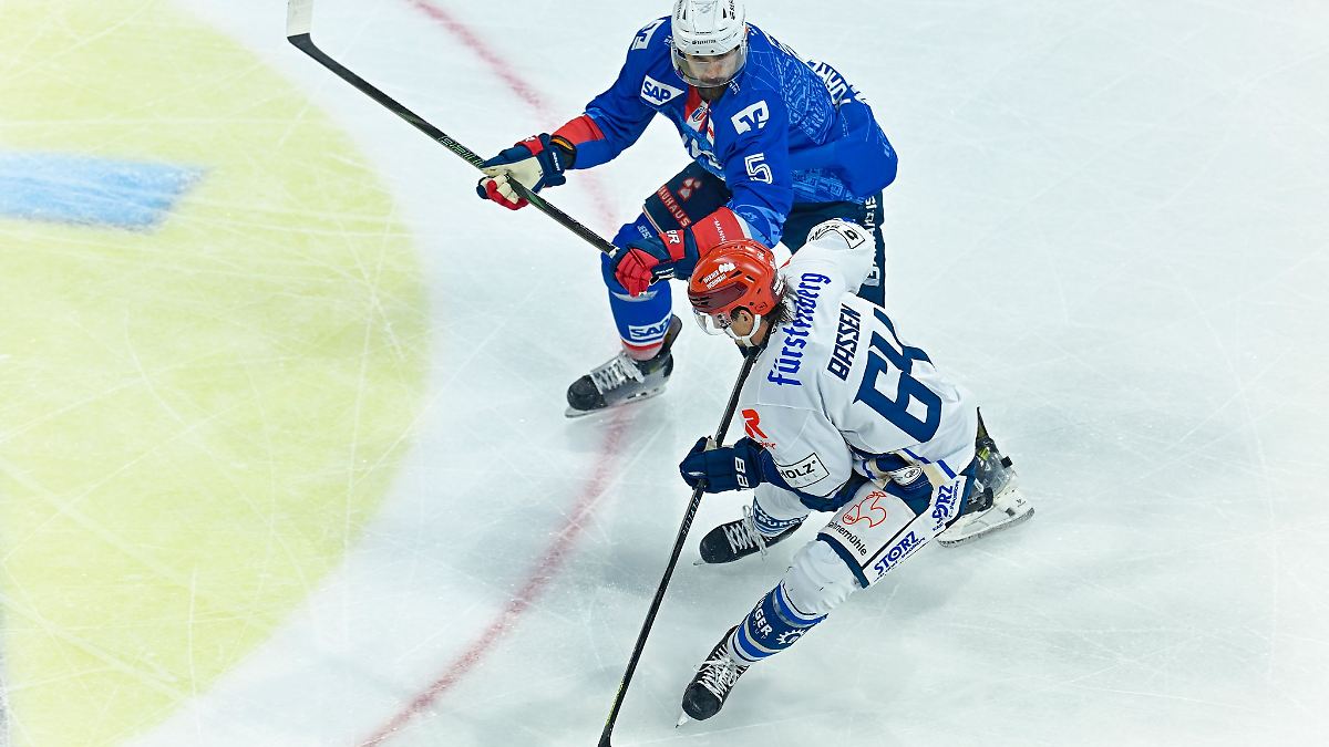 Weber und Bassen bleiben bei Schwenninger Wild Wings