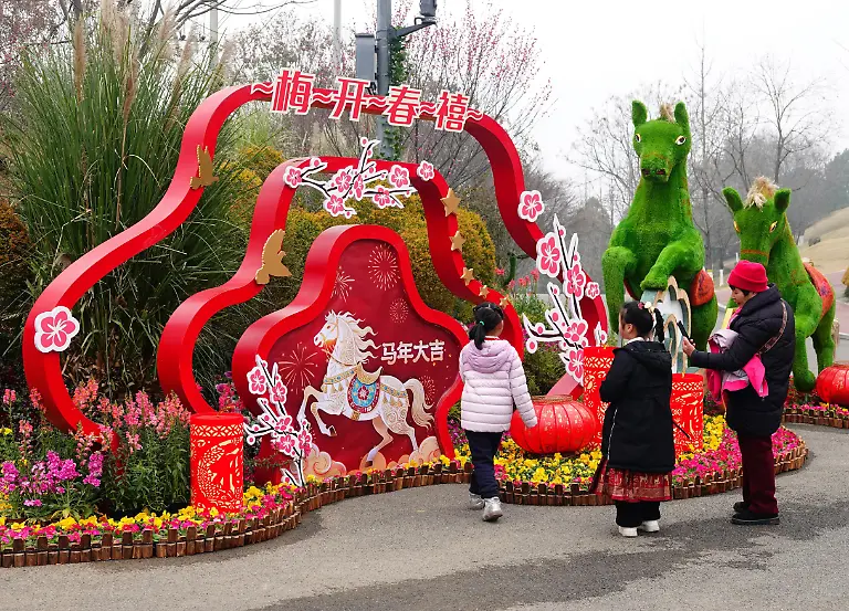 A-plum-blossom-exhibition-is-held-at-Chengdong-Park-in-Yichang-City-central-China-s-Hubei-Province-28-January-2026