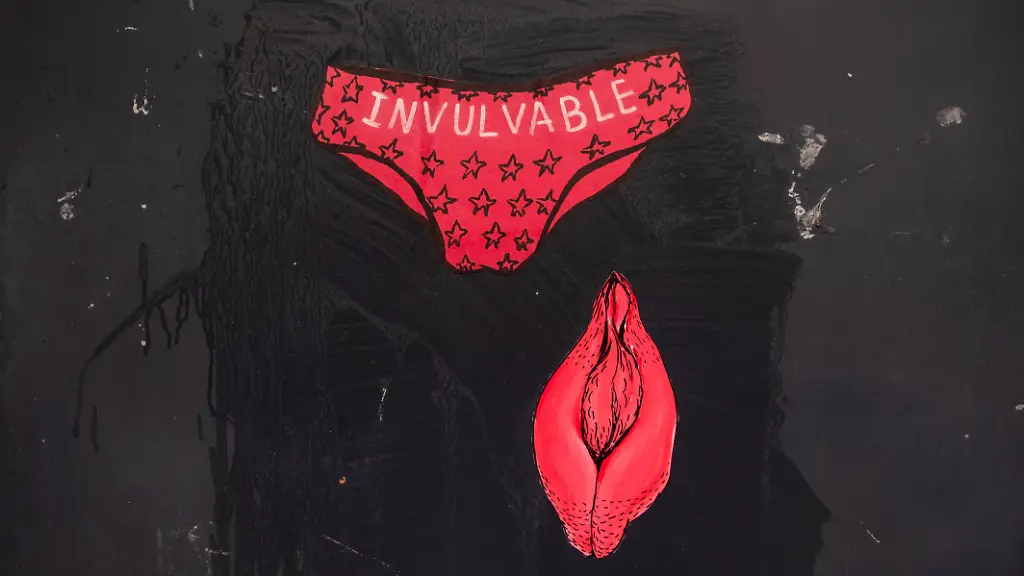 TB-Vulva-Shaming