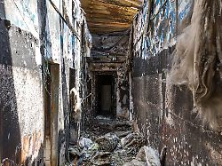 Junge, radikalisierte Männer: "Letzte Verteidigungswelle" steht vor Gericht