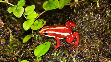 imago592889920