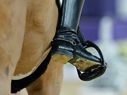 "Der Schock war groß": Tierquälerei führt zu Reitturnier-Abbruch in München