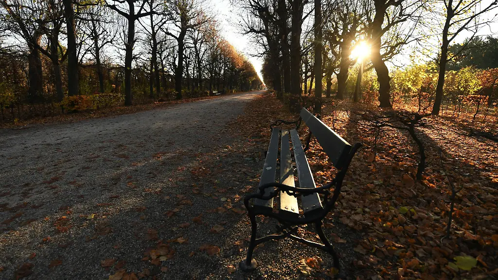 40b211bae72dec4cafe637e4e6cea45f