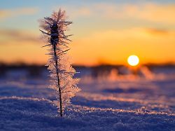 Berlin & Brandenburg: Kälte in Berlin und Brandenburg