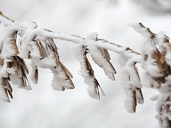 Sachsen-Anhalt: Schnee und Minusgrade in Sachsen-Anhalt