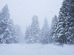 50 Rettungskräfte im Einsatz: Zehn Skifahrer nach Lawine in Kalifornien vermisst
