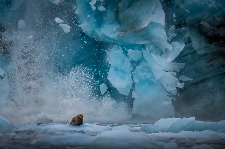 3663_9807_AxelSchmidtke_Germany_Open_Motion_2026