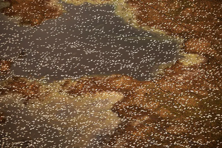 3627_9771_JassenTodorov_UnitedStates_Open_Landscape_2026