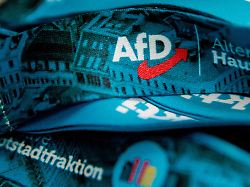 Berlin & Brandenburg: Bündnis will keine AfD-Politiker an Schulen