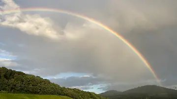576737606