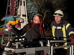 Niedersachsen & Bremen: Wie Papagei "Drago" aus 15 Metern Höhe gerettet wird