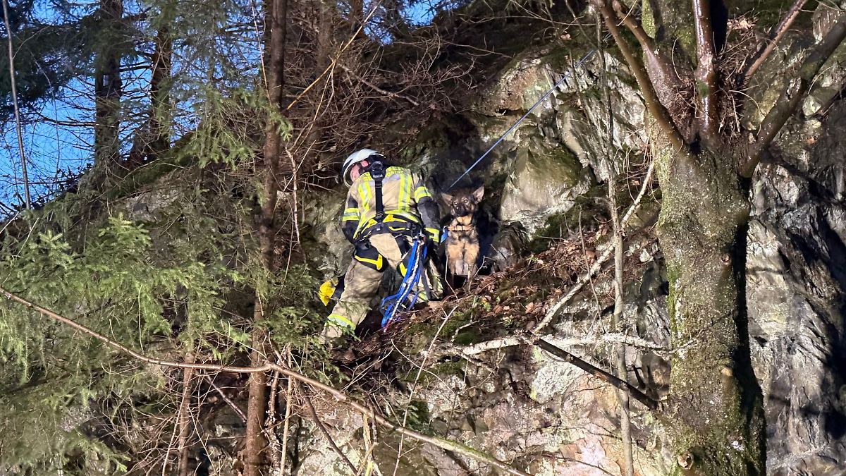 Hündin Pia aus luftiger Höhe von Steilwand gerettet