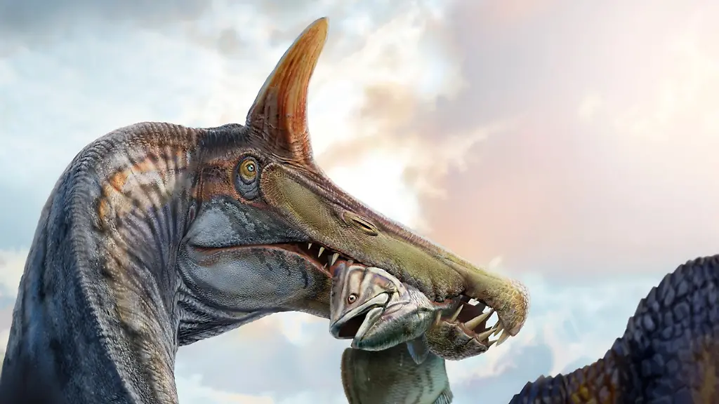 Spinosaurus-Knochen ragen aus Sahara-Sand
