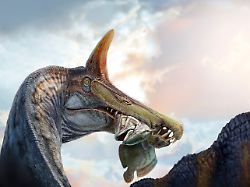 Knochen ragten aus Wüstensand: Riesen-Dino mit "Höllenreiher"-Look entdeckt